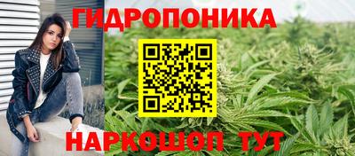 ешки Новодвинск