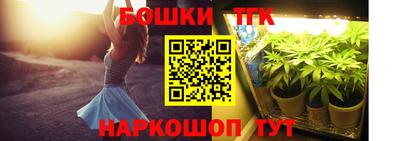 ешки Новодвинск