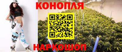 дмт Новозыбков
