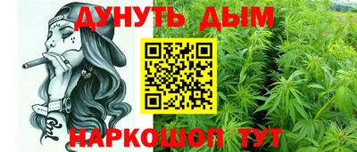 дмт Новозыбков