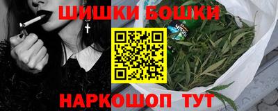 ешки Новодвинск