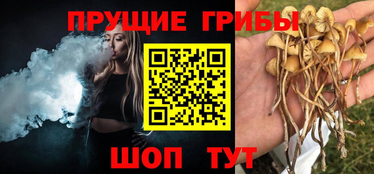 Галлюциногенные грибы Magic Shrooms  Псилоцибиновые грибы Magic Shrooms  Черняховск  Вход с VPN 